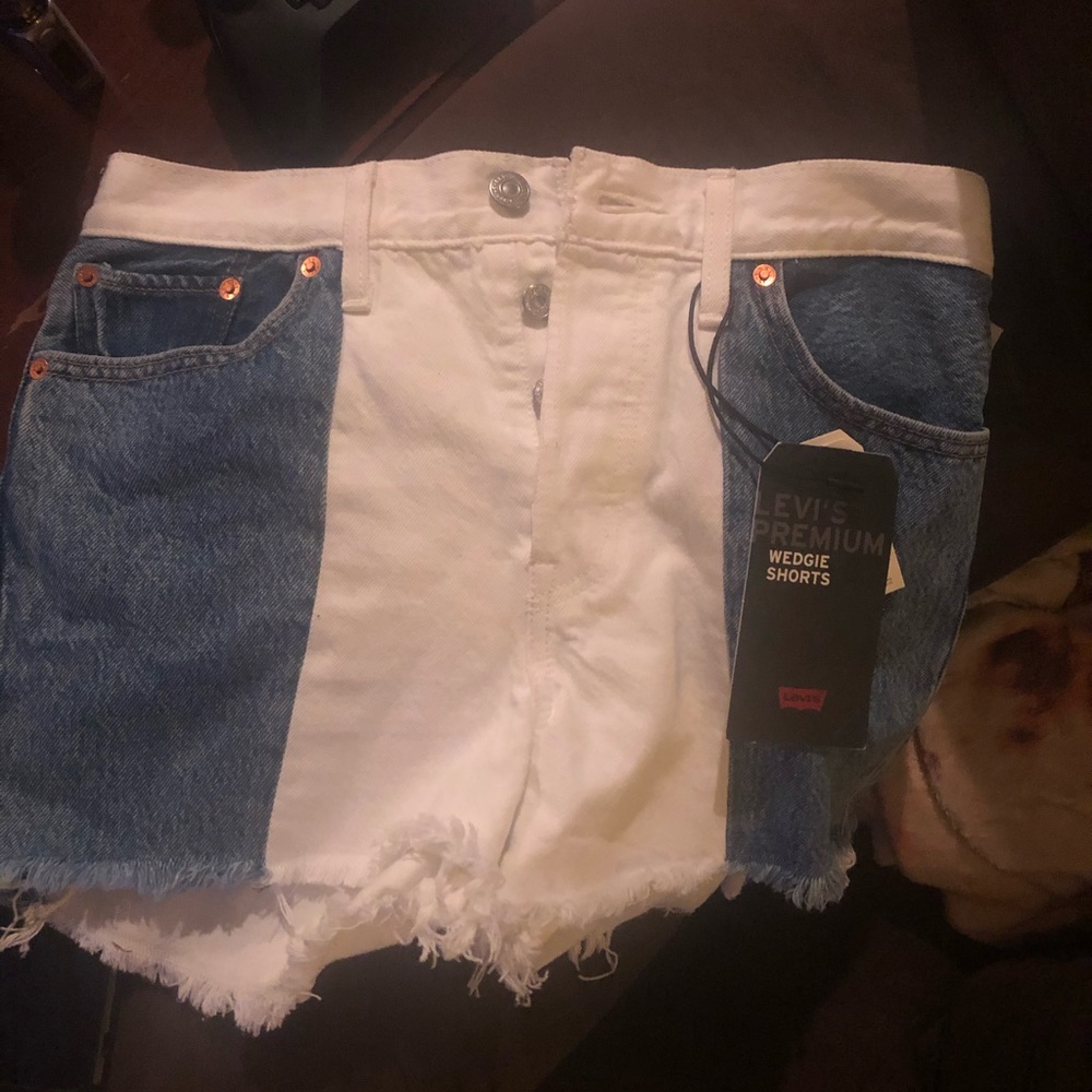 NWT Urban Outfitters x Levi’s wedgie shorts
